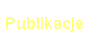 Publikacje